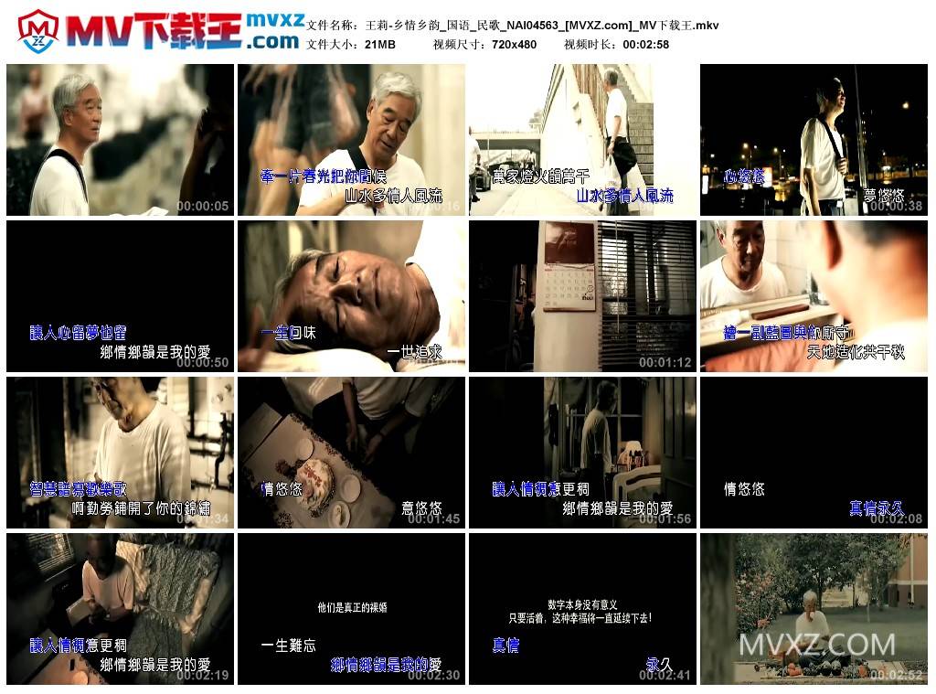 王莉-乡情乡韵_国语_民歌_NAI04563